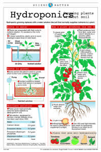 1011 Science hydroponic News