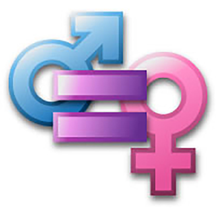 The+gender+equality+club+is+new+to+Neshaminy+High+School.+It+aims+to+raise+awareness+and+help+serve+the+community.