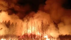 Wildfires Continue to Burn Australia