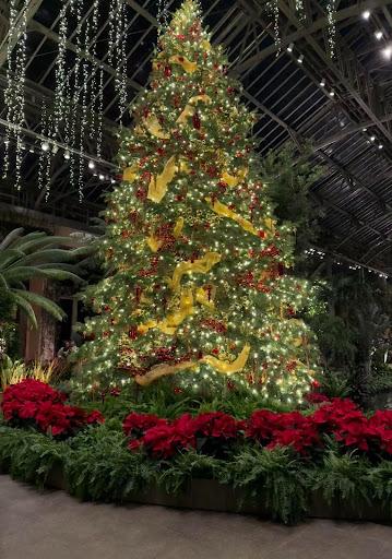 The Christmas tree display is located in the Main Conservatory of Longwood Gardens. (The Playwickian/Isabelle McLaughlin)